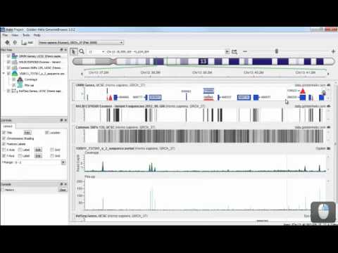 GenomeBrowse Getting Started, Ch. 4: Navigation Controls