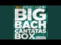 Cantata No.80: Ein' feste Burg ist unser Gott (Reformation Festival) , BWV 80: VII. Duet: Wie...