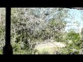 Kilimanjaro Safaris At Disney S Animal Kingdom Full Ride