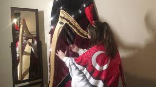 Cosmia ~Joanna Newsom Cover~ Harp &amp; Voice