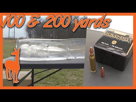 9mm Speer Gold Dot 147 gr JHP Ammo Gel Test