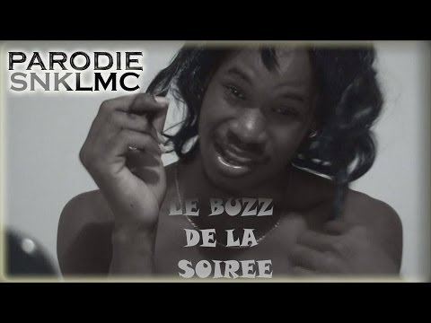 [PARODIE] SNKLMC - BUZZ DE LA SOIREE - [Miley Cyrus - Wrecking Ball] 2013
