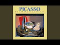 Picasso Suite: Introduction