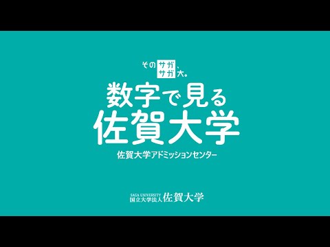 学校教育課程 数字で見る佐賀大学