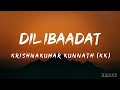 Dil Ibaadat Lyrics Krishnakumar Kunnath