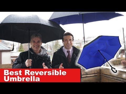 download lagu mp3 mp4 Reverse Folding Umbrella Reviews, download lagu Reverse Folding Umbrella Reviews gratis, unduh video klip Reverse Folding Umbrella Reviews