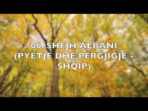 06. Shejh Albani (Pyetje dhe përgjigje - Shqip)