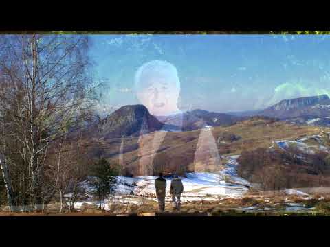 HETEA TOADER MĂRIȘEL - ARDEALUL E MARE