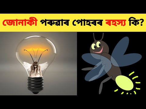 Light of Firefly || জোনাকী পৰুৱাৰ পোহৰৰ ৰহস্য কি?