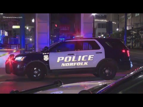 City auditor: Norfolk police chief appointment was proper