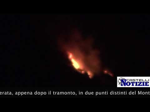 VELLETRI – GLI INCENDI DEL 31 LUGLIO 2021 SUL MONTE ARTEMISIO