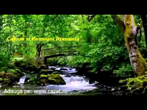 Cazare Ratesti, Arges - Cazat.ro