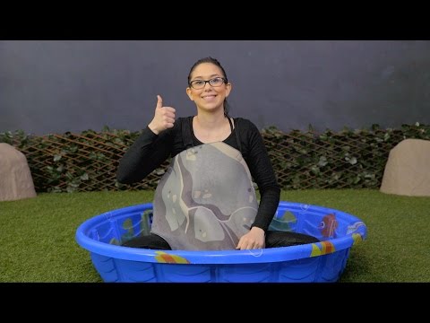 YouTube video about: Are dog rocks safe for cats?