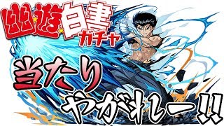 【パズドラ】みんな久しぶり！幽遊白書コラボ遅ればせながら引いたよ！！【ぺくと】