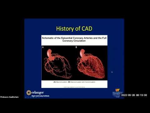 Functional coronary disease