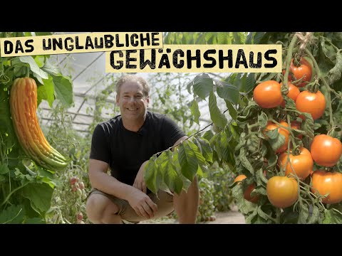 , title : 'Selbstversorgung im Gewächshaus mit Gemüse, Obst und Exoten - Trauben, Tomaten und Melonen anbauen'