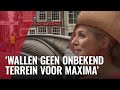 Máxima opent eerste 3D-geprinte brug op de Wallen