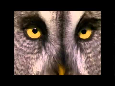 CEMENTERIO CLUB - UNDERGROUND