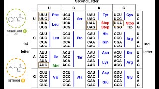 The Genetic Code