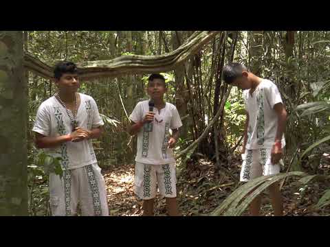 6 RAP KOKAMA  CAT BOTO