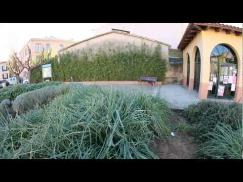 Panoramicas de Macanet de la selva