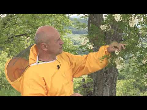 Boja meda ep. 64 28.05.2019. NAJAVA