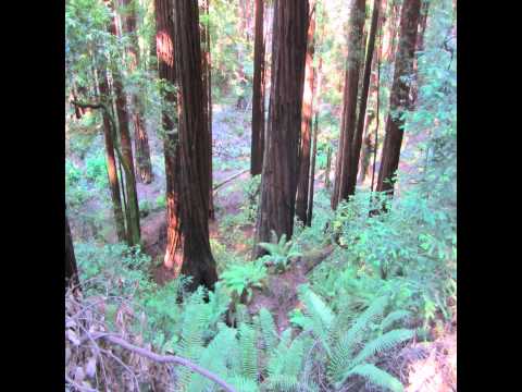 download lagu mp3 mp4 Jazz Rock Instrumental, download lagu Jazz Rock Instrumental gratis, unduh video klip Jazz Rock Instrumental