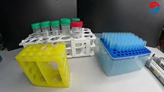Zebrafish In Situ Hybridization