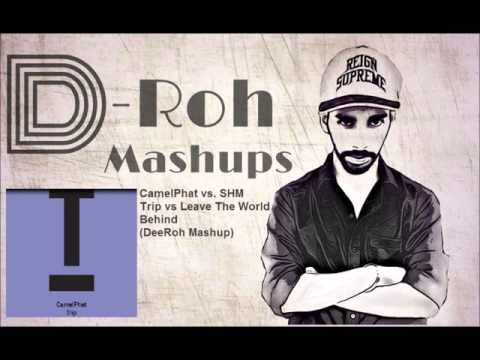 CamelPhat vs SHM & LaidbackLuke - Trip vs Leave The World Behind (DeeRoh Mashup)