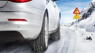 Continental ContiWinterContact TS 830 P 295/30 R19 100W