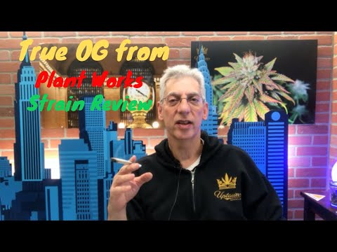 True OG Cannabis Strain Review