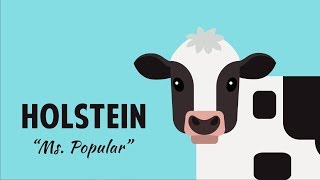 7 Breeds of Dairy Cows