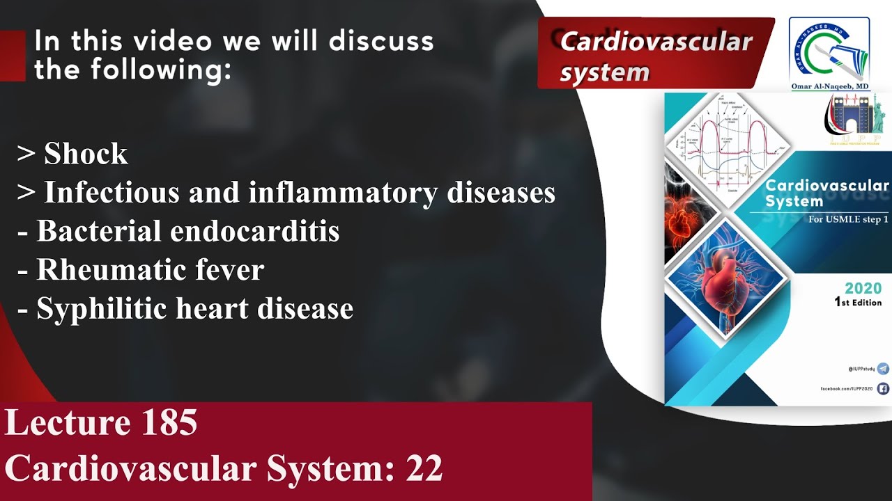 Shock | Bacterial endocarditis | Rheumatic fever | Syphilitic heart disease