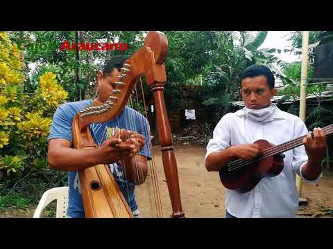Instrumental Llanero  A ritmo de Gabán  Arauca, Tierra del Joropo
