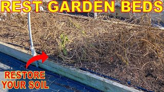 Do This NOW To Refresh Garden Soil In Winter [And 1 Thing To NEVER Do]