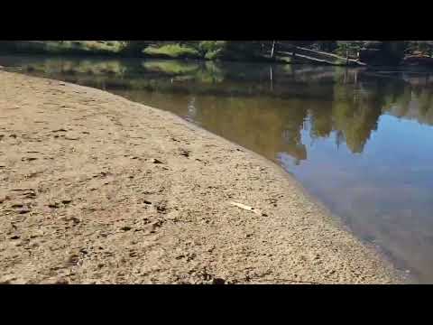 fastest blackjack 24 on 4s in the world