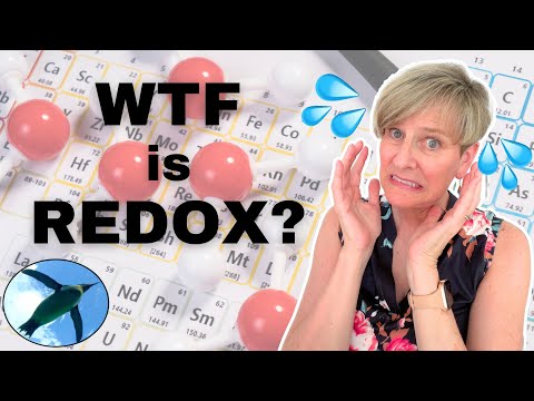 WTF is REDOX? | Chemistry Basics 🐧🤔