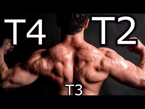T2 vs T4 compared to T3 | Experience/Results/Side effects | Bodybuilding Fat Burner PED