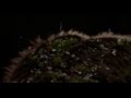 CREEP feat. Lou Rhodes "Vertigo" [Official ...