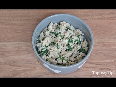 Homemade Wet Dog Food Recipe (Healthy, Extremely Easy to Make)