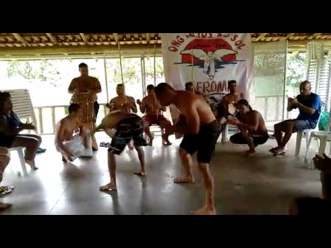 Um pouquinho de dendê