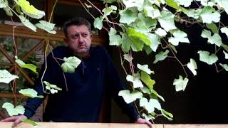 Николай Джинчарадзе - "Я рвался в небо..."