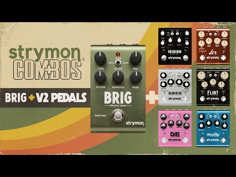 Strymon Brig dBucket Delay 2023 - Present - Green image 2