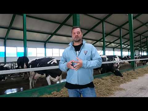 Сергей Буянов о молочной ферме Турар