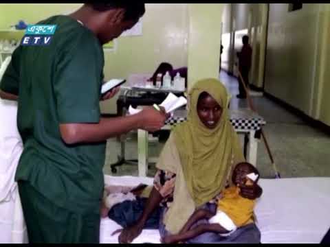 বিশ্বব্যাপী বেড়েছে ক্ষুধার্ত মানুষ, জাতিসংঘের প্রতিবেদন