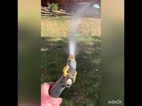 Ibby the best dog ever season 2 episode 4