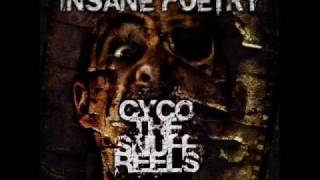 Insane Poetry - The Memoirs Of A Cyco