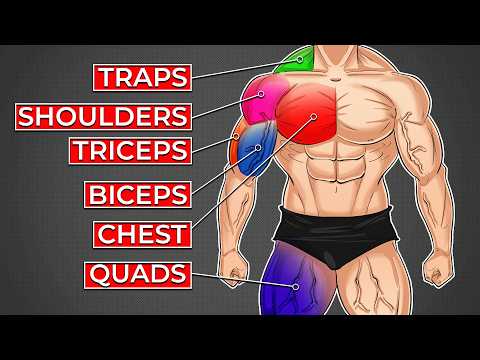 The #1 Exercise for Every Muscle Group (men over 40)