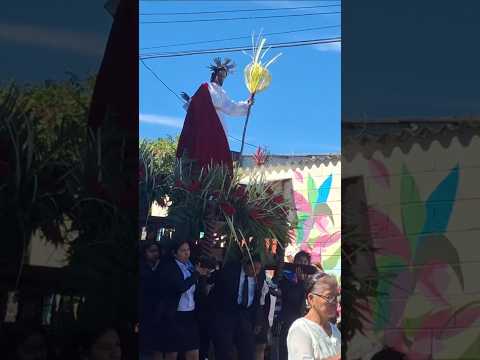 Domingo de Ramos en Santiago Texacuangos