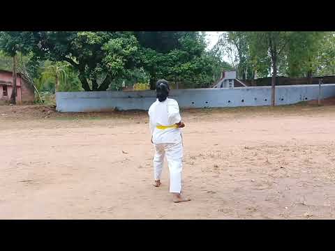 TENO KATA. SHITO-RYU (1st kata).